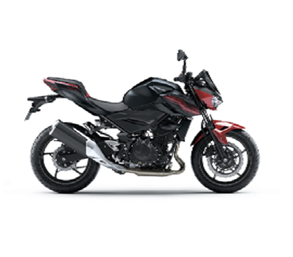 Z 400 2019