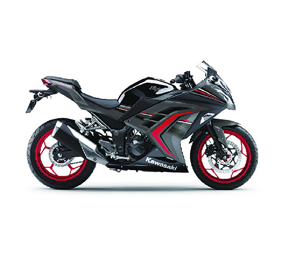 NINJA 300 2016